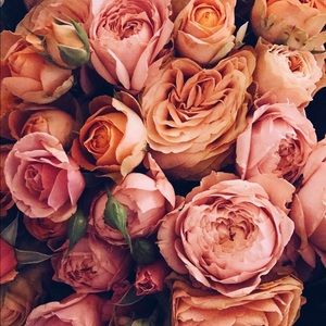 Meet your Posher, Kay